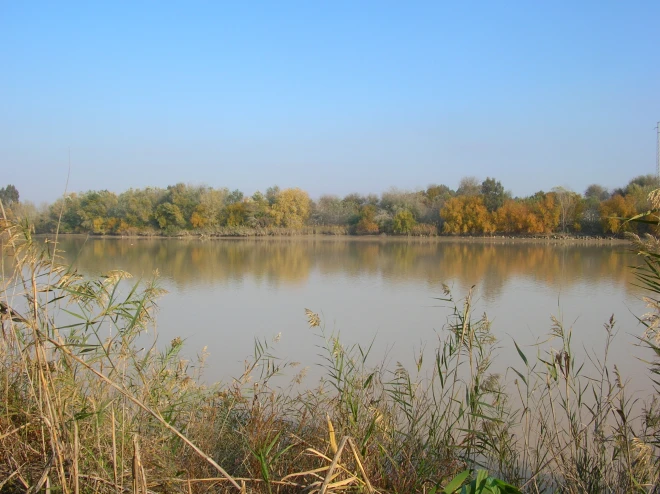 De vallei van de Guadalquivir in de provincie Sevilla. Het kan er de komende dagen 44 graden worden - Wikipedia