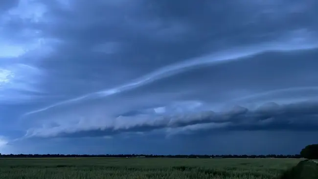 Shelfcloud Karin