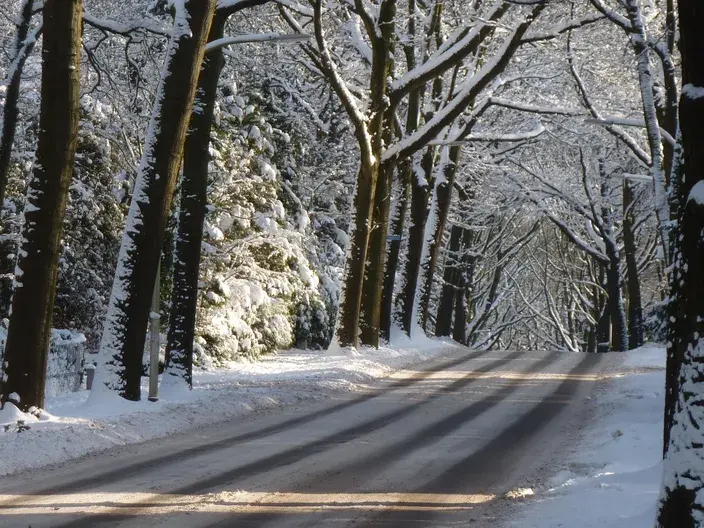 Het ultieme kersplaatje. Sneeuw tijdens de kerst van 2010 - Reinout van den Born