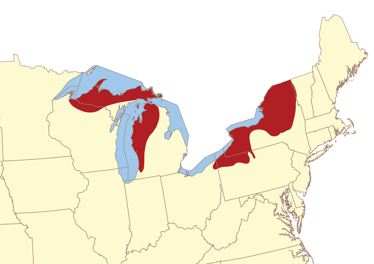 Een aantal van de gebieden die geregeld door Lake-effect snow worden getroffen - Wikipedia