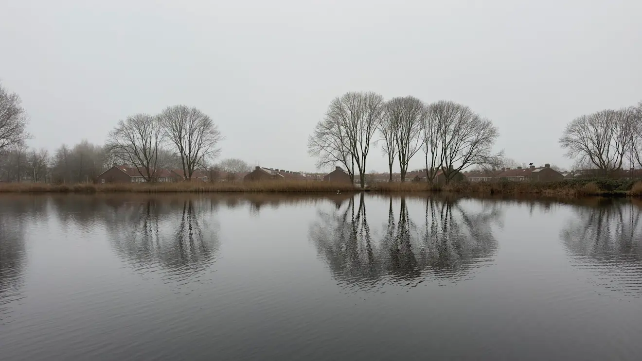 Grijs weer in de buurt van Zevenhuizen, met wel een mooie reflectie - Jolanda Bakker