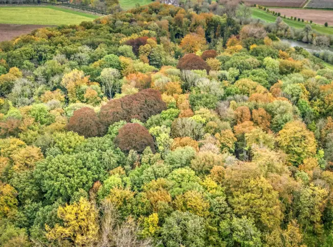 Herfst John Oomen vanuit Drone