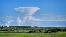 Fraai cumulonimbus, horend bij een bui boven Friesland en Drenthe, gezien vanuit Zeewolde - Jannine Sanders
