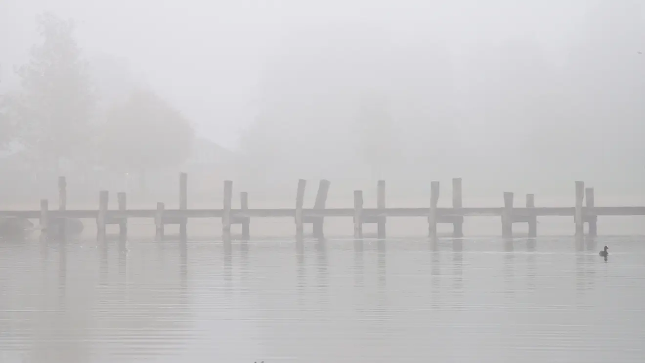 De lucht waarin we ons bevinden is erg vochtig - Cynthia van Leusden