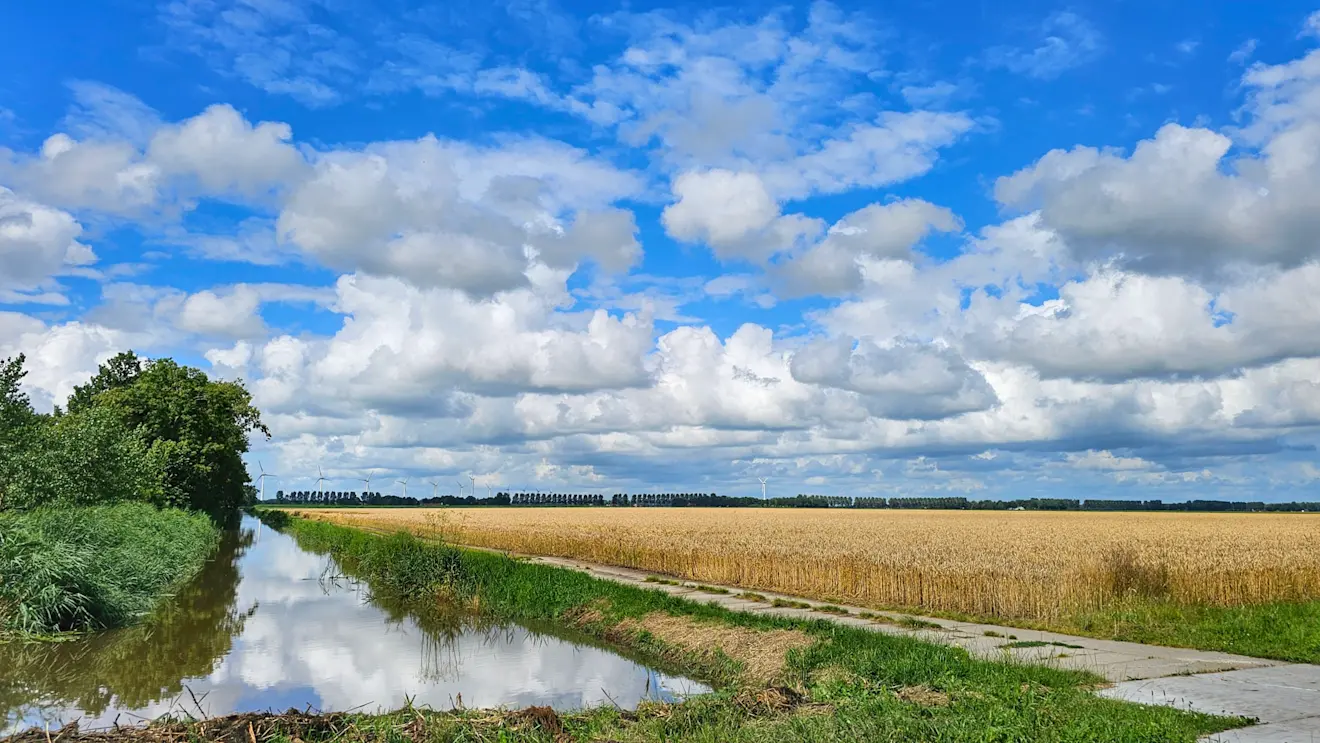 Stapelwolken boven Flevoland - Jannine Sanders