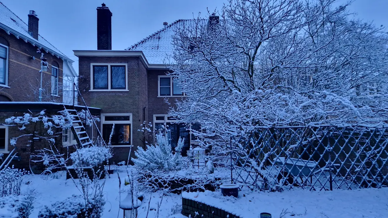 Onze tuin in de sneeuw - Reinout van den Born