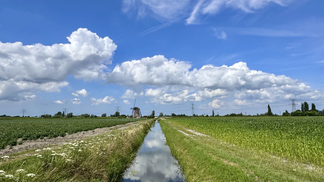 Zomer in Zuid-Holland - Jolanda Bakker