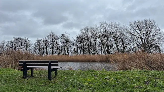 Ook vanochtend begon het op veel plaatsen grijs - Jolanda Bakker