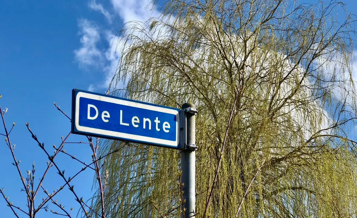 De lente - Jolanda Bakker