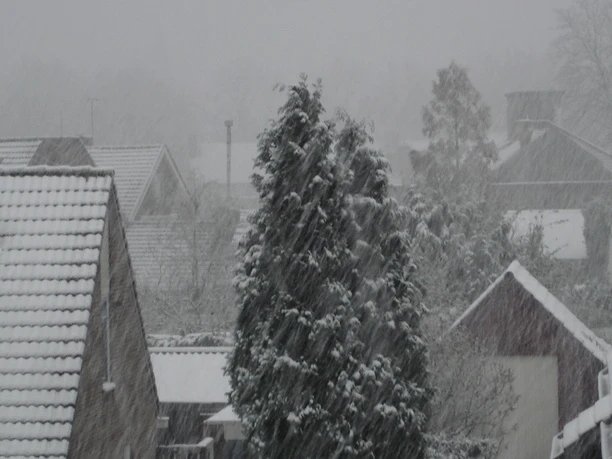 Sneeuw op 26 november 2005 in Bennekom - Tom van der Spek