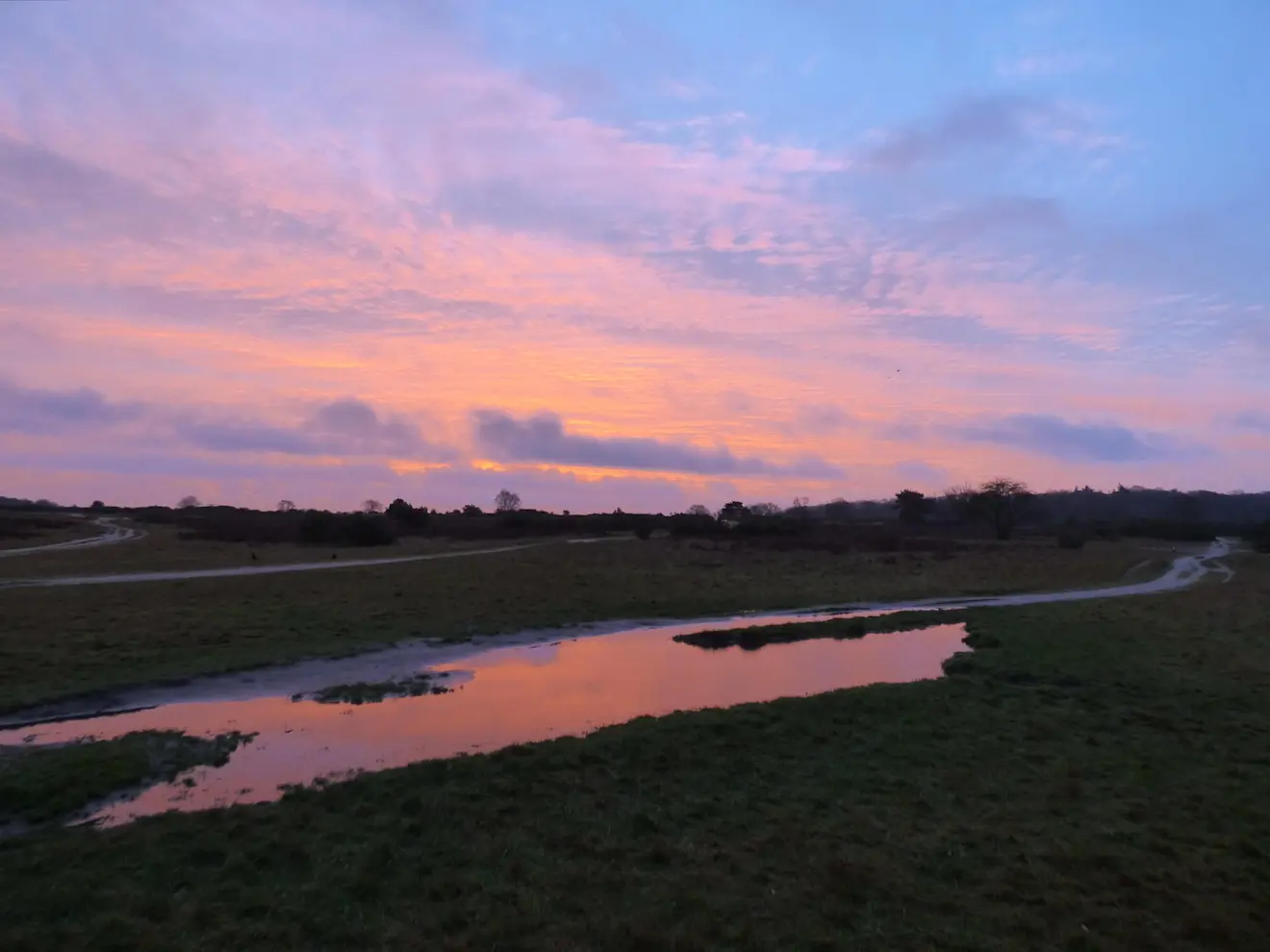 Mooie zonsopkomst vanochtend in de buurt van Hilversum - Chris Meewis