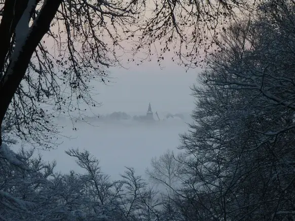 Uitzicht op de Ooijpolder in de sneeuw, foto van eind november 2010 - Reinout van den Born