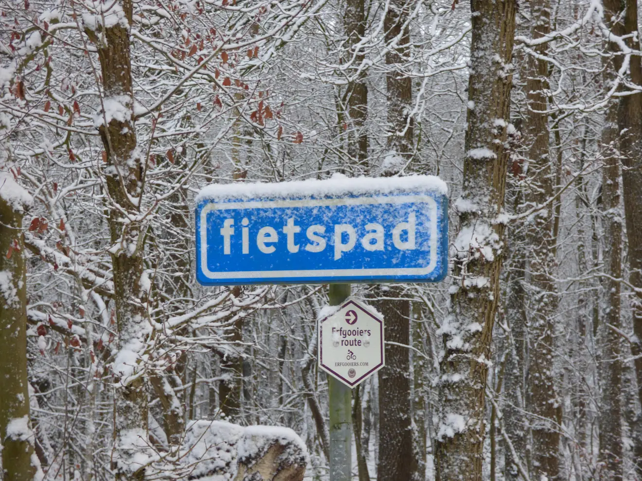 Het kan zondagochtend in een groot deel van het land even serieus gaan sneeuwen - Chris Meewis