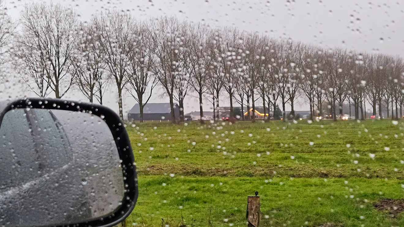 Het regende vanochtend vanochtend weer hier end aar - Nely van Frankenhuyzen