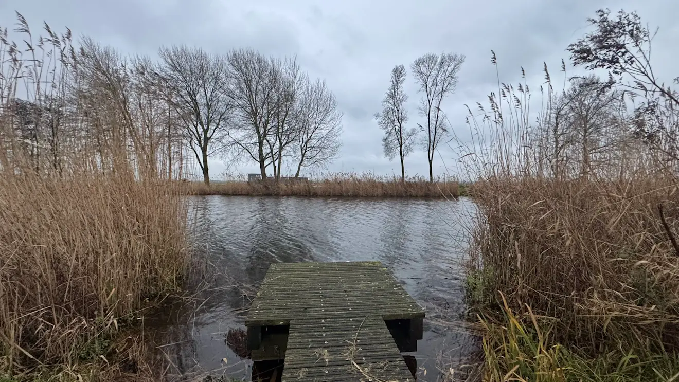 We gaan grijs en met een stevige wind het jaar uit - Jolanda Bakker