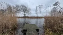 We gaan grijs en met een stevige wind het jaar uit - Jolanda Bakker