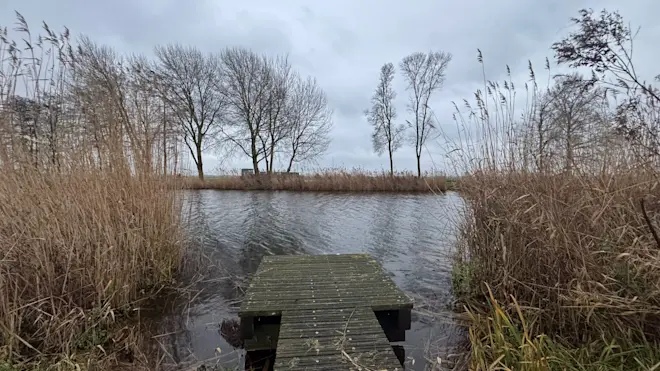 We gaan grijs en met een stevige wind het jaar uit - Jolanda Bakker