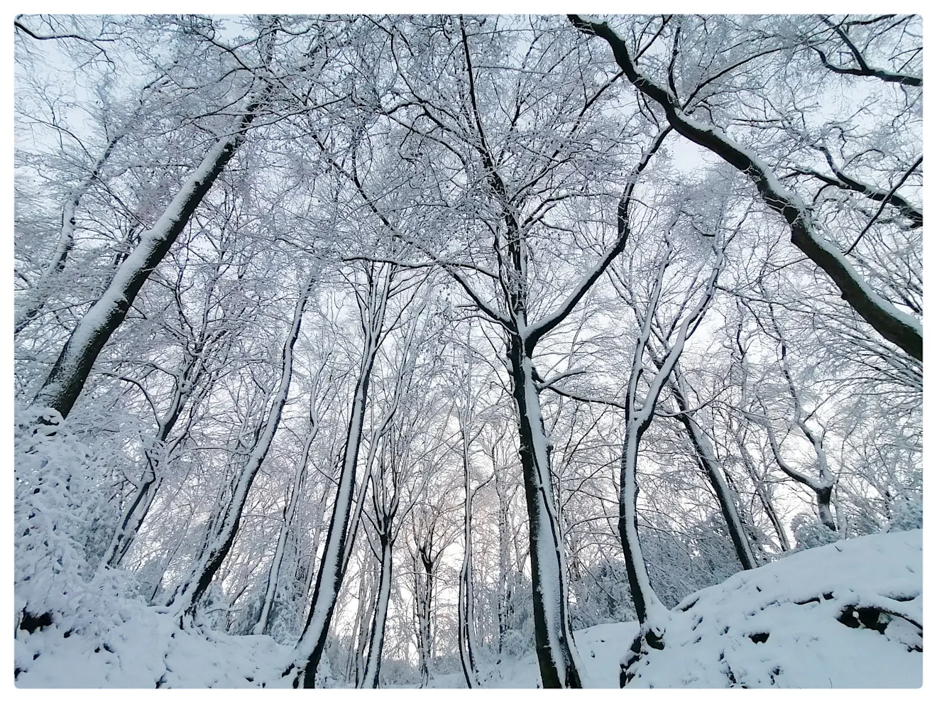 Het was wel een winterwonderland, op en rond de Vaalserberg - Carlos Sour