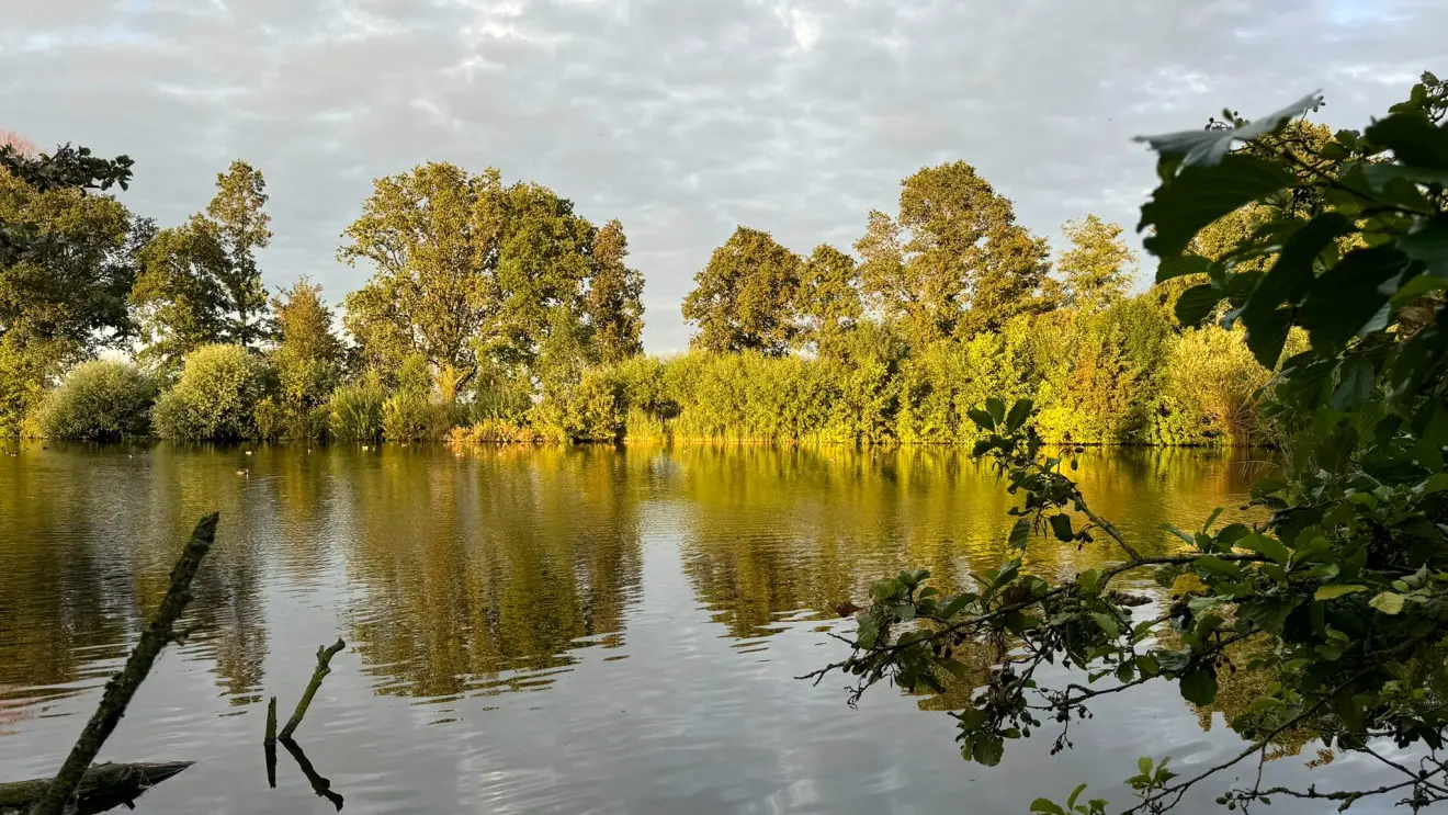 De eerste tekenen van de herfst zijn te zien, maar raken Nederland de komende tijd nog niet - Jolanda Bakker