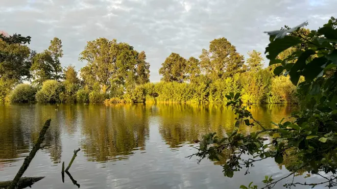 De eerste tekenen van de herfst zijn te zien, maar raken Nederland de komende tijd nog niet - Jolanda Bakker