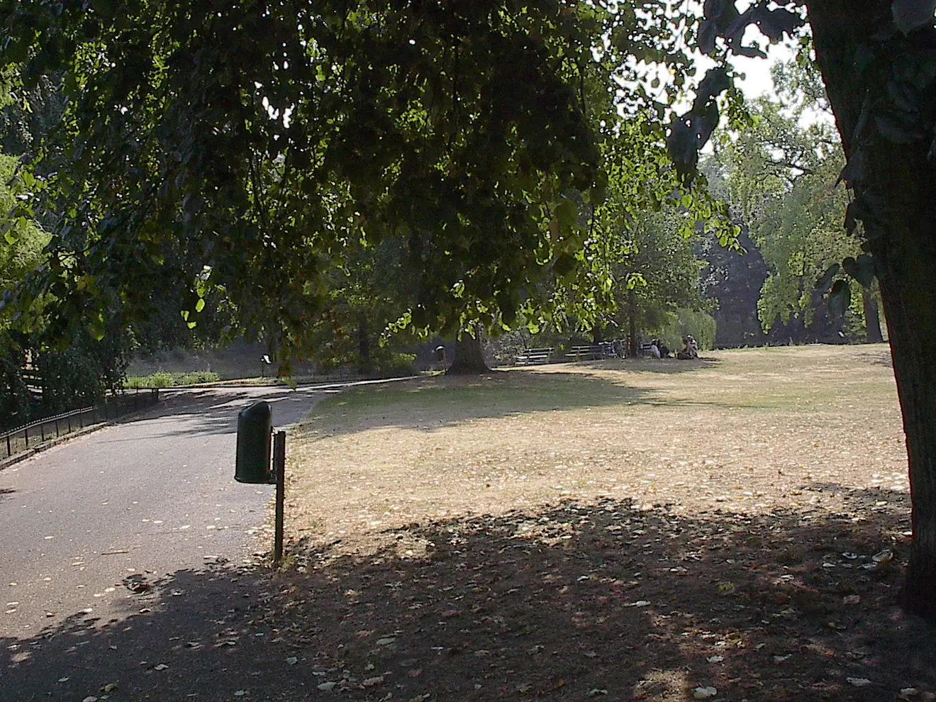 Alleen onder de bomen in het park waren nog plukjes mensen te zien - Reinout van den Born