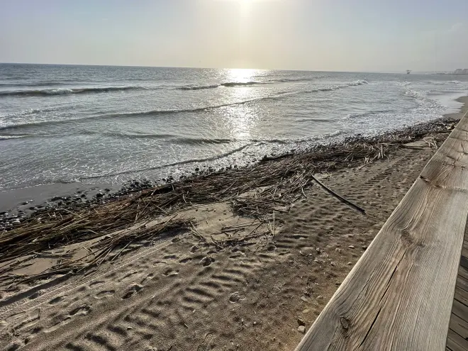 Takken, die tijdens het noodweer de zee op zijn gespoeld, liggen overal nog op het strand en moeten de komende tijd worden opgeruimd - Tycho van den Born 