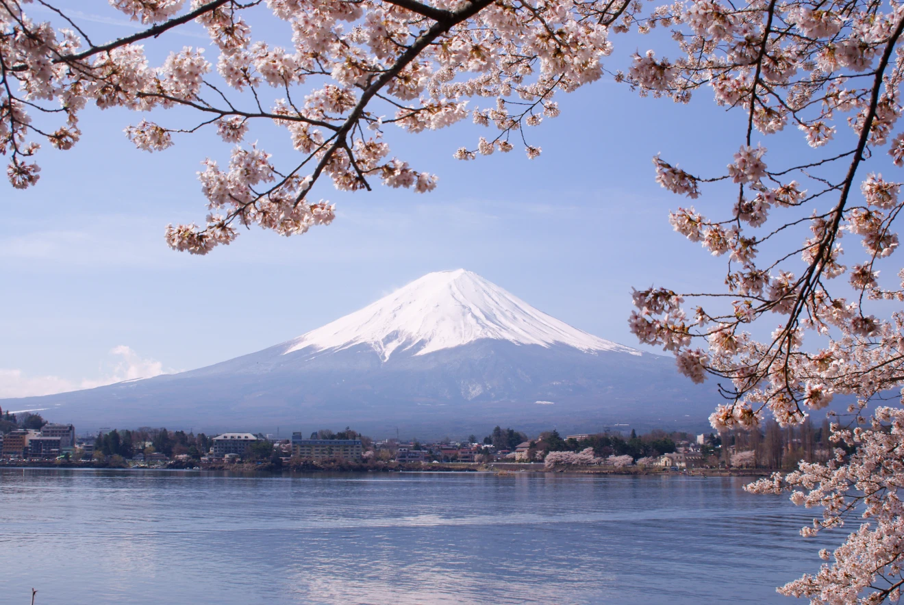 De Fuji in betere tijden - Wikipedia