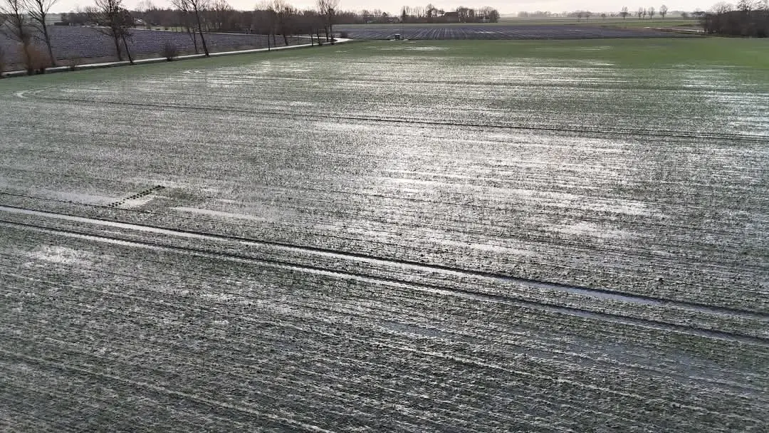 Het natte Groningse land krijgt even wat tijd om  op te drogen - Jannes Wiersema