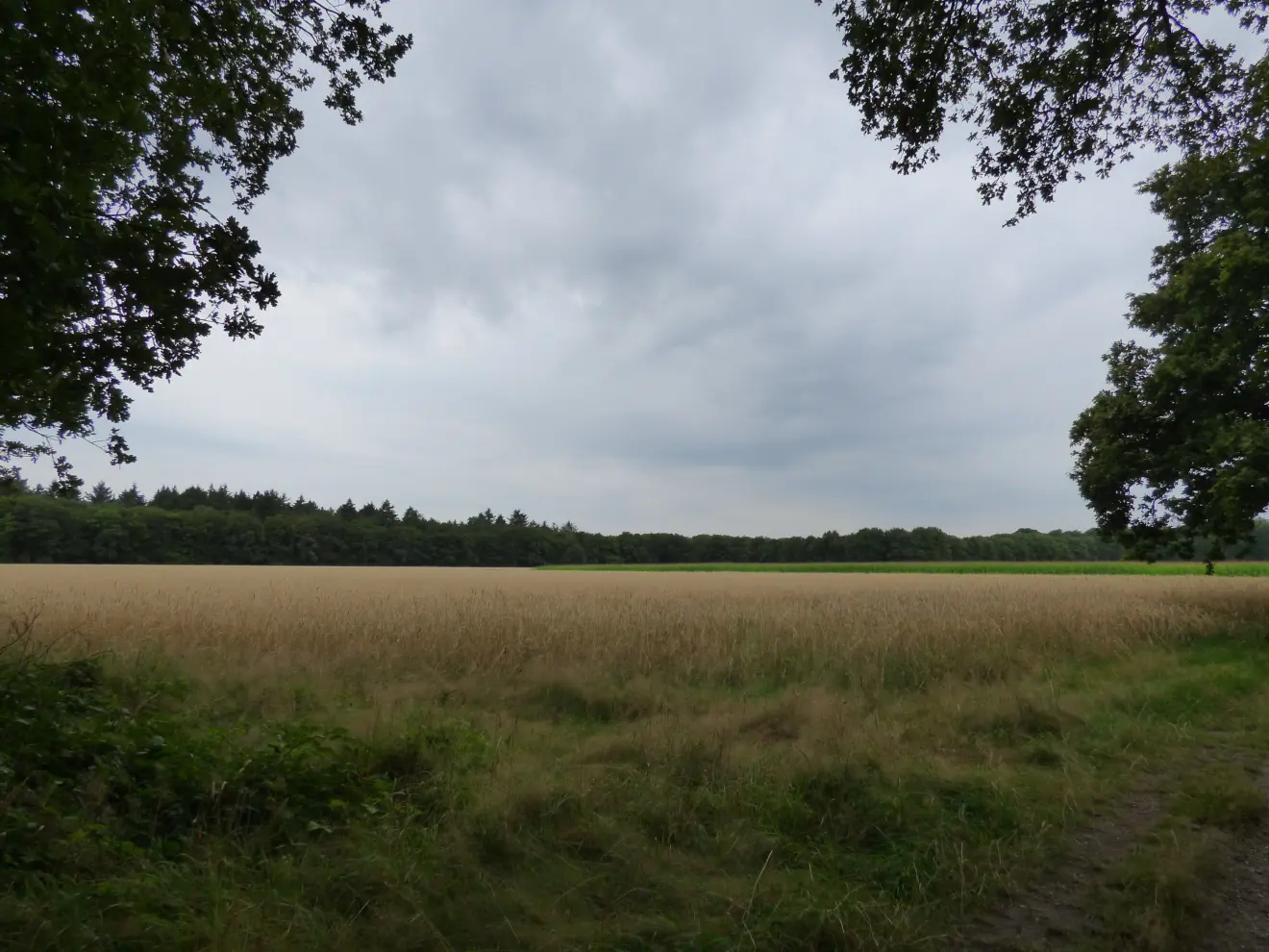 Donkere wolken boven Hilversum - Chris Meewis