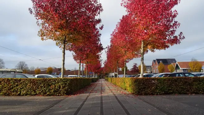 Vandaag nog een nazomerdag, daarna wordt het minder warm - Albert Thibaudier