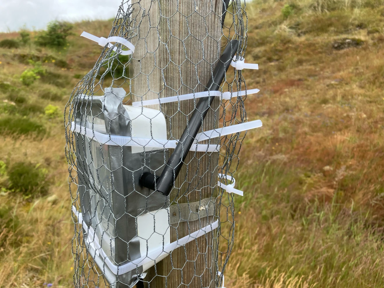 Datalogger met externe antenne, met kippengaas beschermd tegen dieren - Pieter Bliek