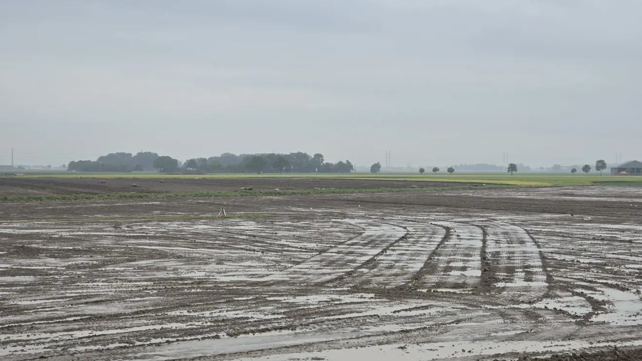 Het land bij Roodeschool is kletsnat na de buien van zaterdagnacht - Jannes Wiersema