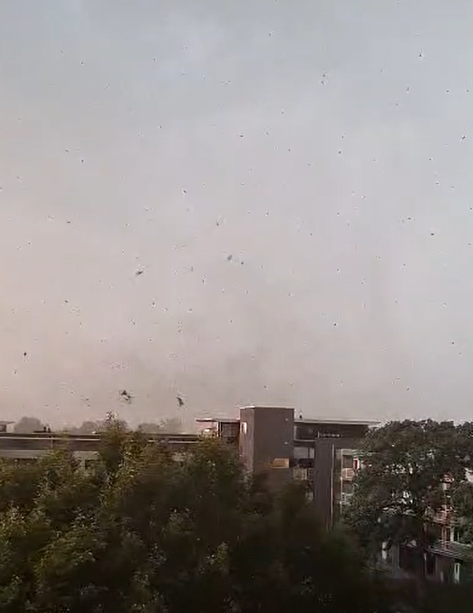 Beeld van de windhoos die op 24 augustus over Meppel trok - Still uit video