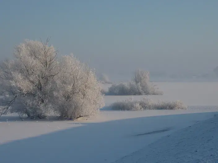 Ruige rijp in de Ooijpolder in de ochtend van 4 februari 2012  - Reinout van den Born