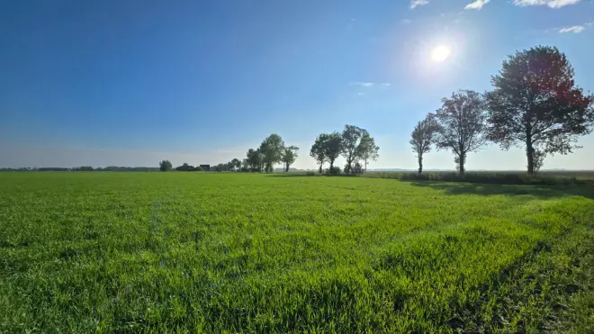 Het zonnetje schijnt boven het Groningse land - Jannes Wiersema