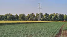 Het is vandaag warm in Nederland, in het weekend en begin volgende week wordt het mogelijk nóg warmer - Nely van Frankenhuyzen