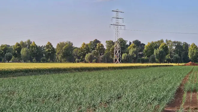 Het is vandaag warm in Nederland, in het weekend en begin volgende week wordt het mogelijk nóg warmer - Nely van Frankenhuyzen