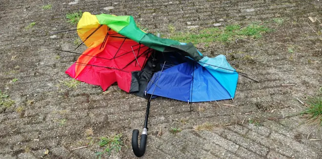 Vandaag heeft het noorden korte tijd met storm te maken - Cynthia van Leusden