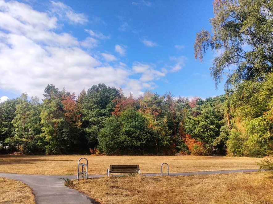 Herfstkleuren in augustus 2018, een gevolg van de intense droogte - Reinout van den Born