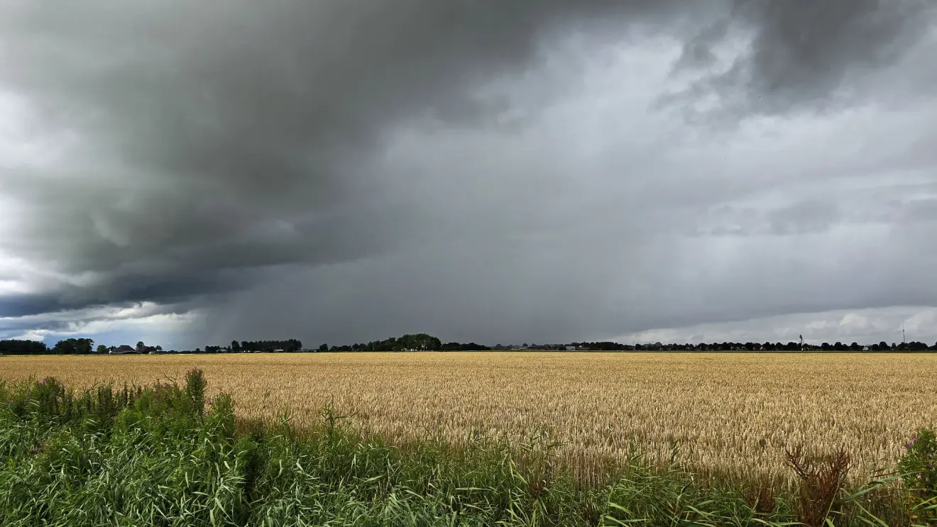 Buien in de zomer - Jannes Wiersema