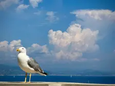 Buienwolken boven Italië Tycho