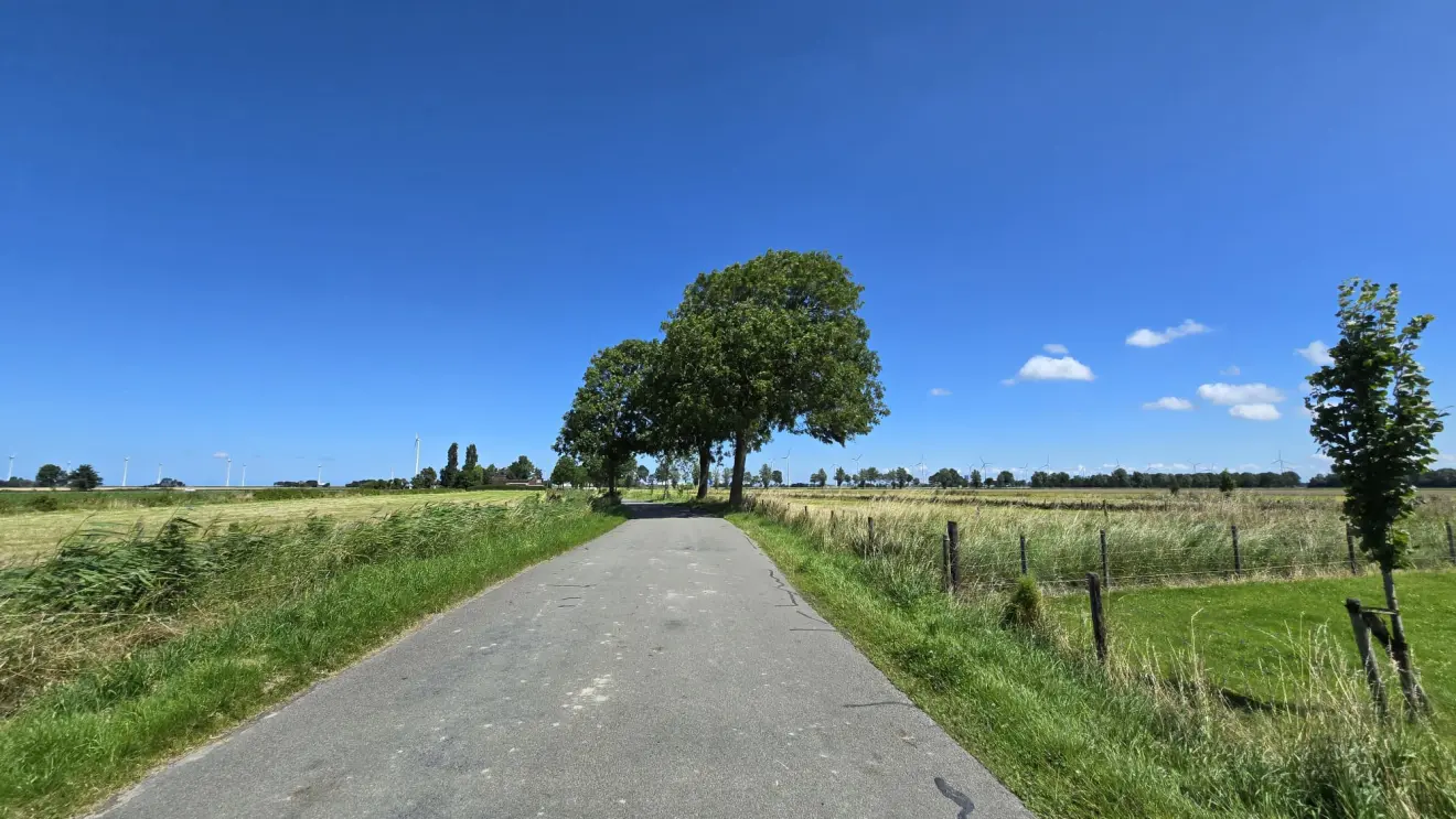 Het was maandag prachtig zomerweer in Nederland - Jannes Wiersema