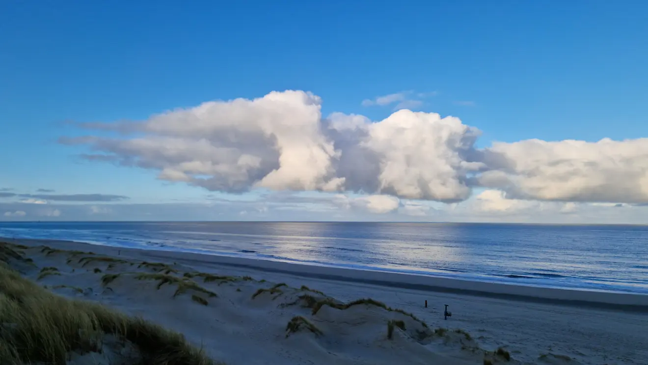 Fraaie start van de lente op Texel - Frans Alderse Baas