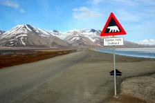 Polar bear sign Svalbard