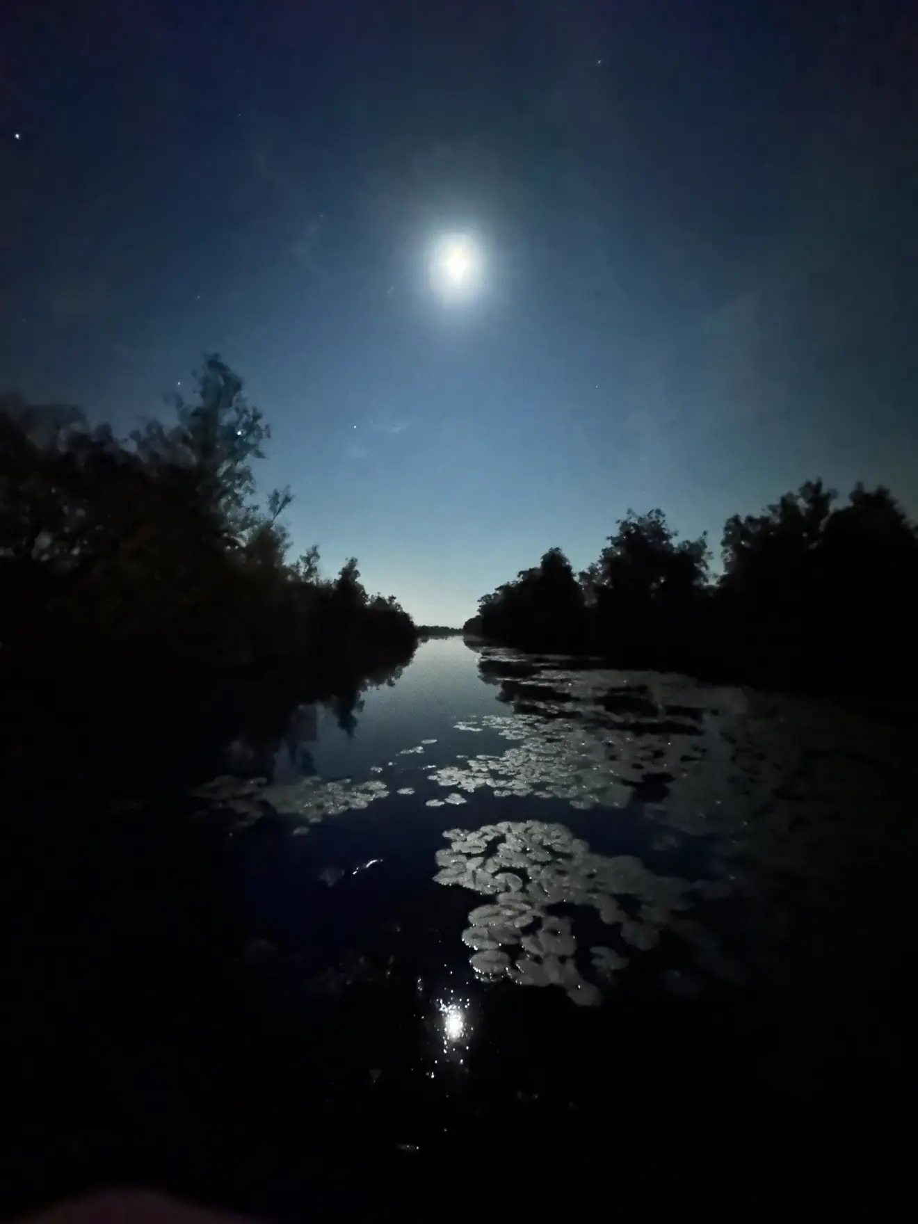 De nacht verliep onbewolkt en windstil, zoals hier in de buurt van Loenen aan de Vecht, en dat leverde fraaie plaatjes op - Tycho van den Born.