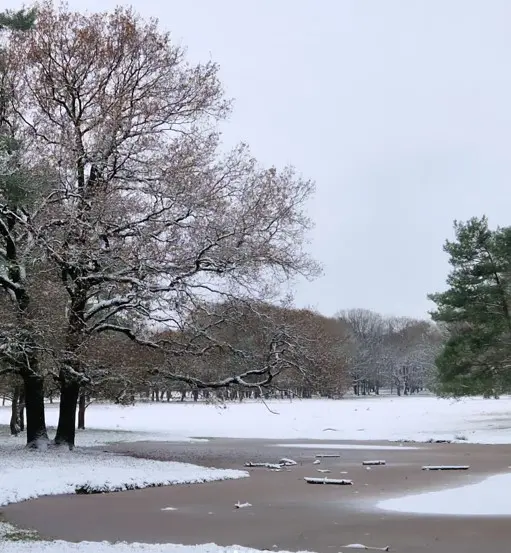 En zo zag het er begin december 2023 in de buurt van Arnhem uit - Reinout van den Born