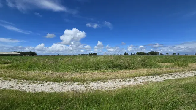 Na een magere zomerstart, lijkt er voor de zomer nu eindelijk licht aan de horizon - Jannes Wiersema