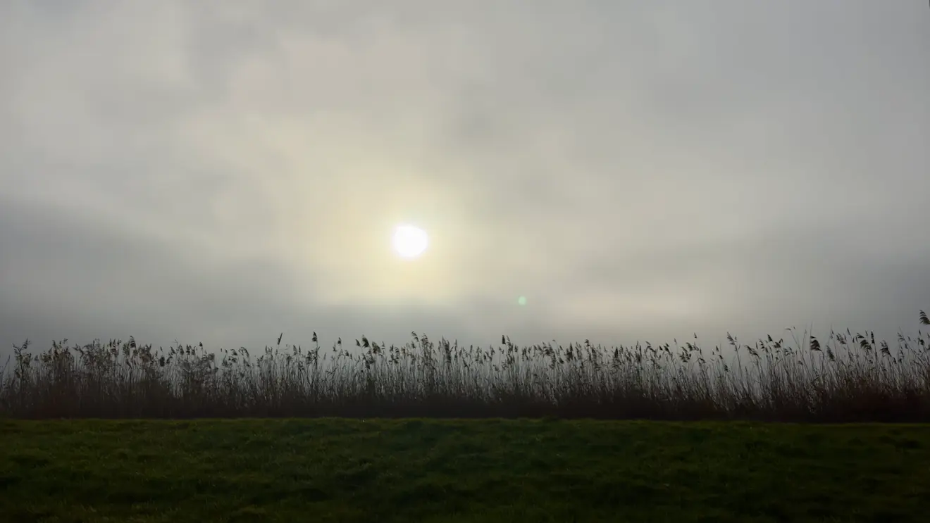 De zon probeert mist en laaghangende wolken te verjagen - Jolanda Bakker