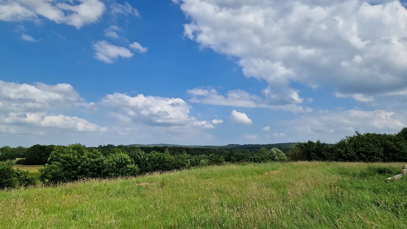 Een mooie dag in de zomer. in de buurt van Breedeweg - Reinout van den Born