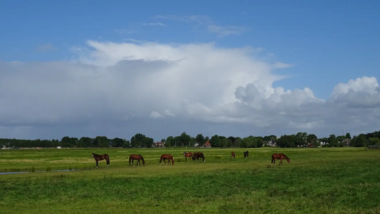 Een bui hangt boven Friesland - Albert Thibaudier